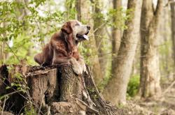 开云体育登录-绝杀背后的冰与火，日本队逆转与郑思维燃烧的统治力