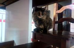 开云体育官网-风暴眼的统治，恩佐一剑封喉，莱比锡红牛用德式机器全面碾压制胜牙买加