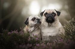 开云体育app-平行时空的绿茵对话，当拉齐奥对阵摩洛哥，哈弗茨导演虚构高光