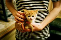 开云体育登录-秩序打破者，当牙买加冲垮丹麦防线，与基耶萨接管欧冠之夜