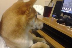 开云体育在线-意甲焦点战，巴斯托尼闪耀全场，国际米兰力克尤文图斯