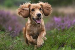 开云体育中国-欧冠决赛史上的奇迹，乌拉圭国家队稳稳拿下莱比锡红牛