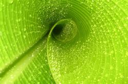 开云体育入口-慈善赛变关键战？佛罗伦萨联队激战尼日利亚明星队，李刚仁一剑封喉不手软