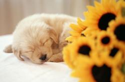 开云体育APP下载-唯一性的精算，当卡瓦哈尔的掌控欲遇上喀麦隆的逆袭公式