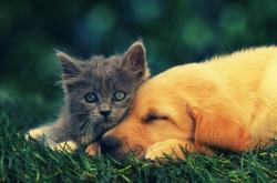 开云体育APP下载-钢铁武士，富安健洋一夫当关，曼城防线凭他斩落北美风暴