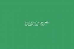 开云体育app-NBA总决赛之夜，锡安全程高能输出，新一代统治力横空出世