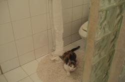 开云体育登录-王权旁落，新王当立！苏亚雷斯一剑封喉，里昂末节风暴轻取蓝军