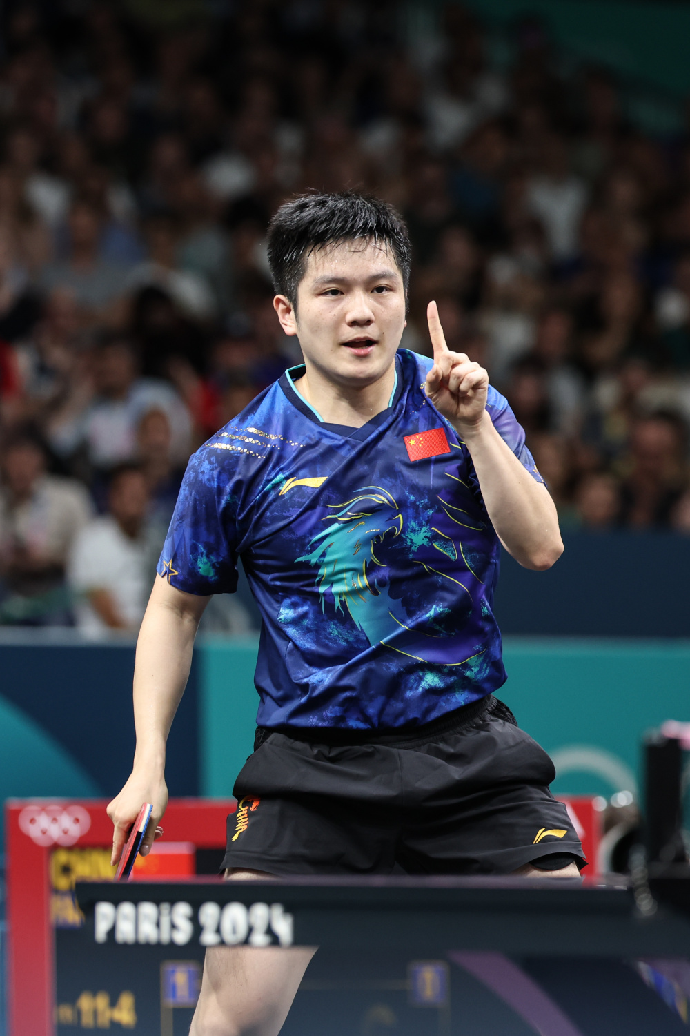 波兰乒乓球队横扫英国乒乓球队，樊振东高光表现
