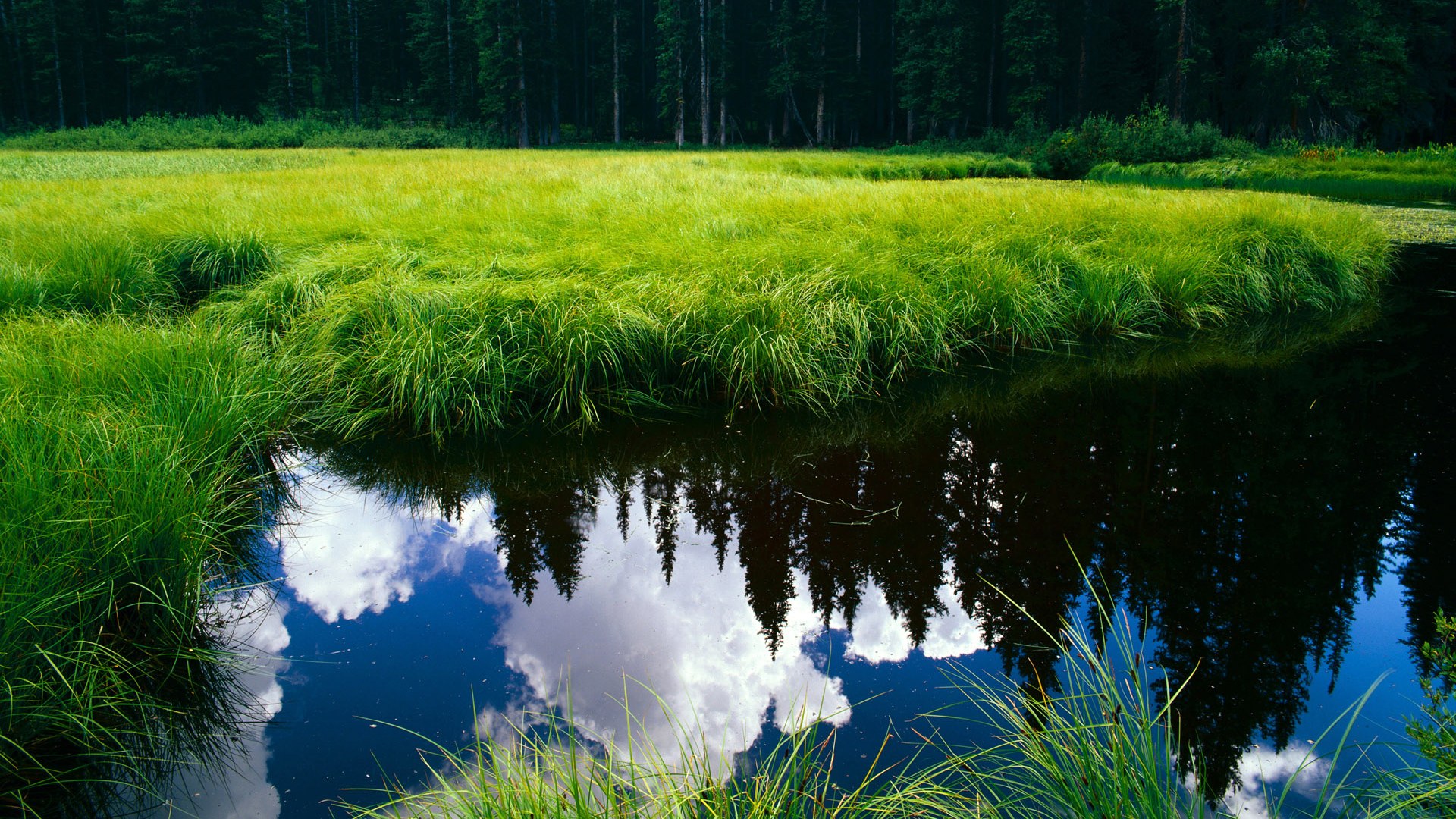 平行赛场,当字母哥穿上深圳队球衣