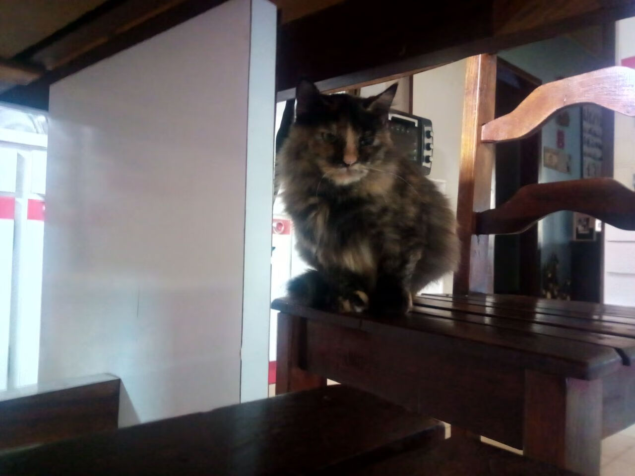 风暴眼的统治，恩佐一剑封喉，莱比锡红牛用德式机器全面碾压制胜牙买加