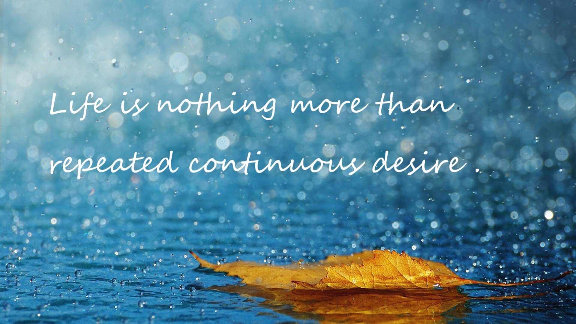 同一夜,篮球世界的奇妙共振