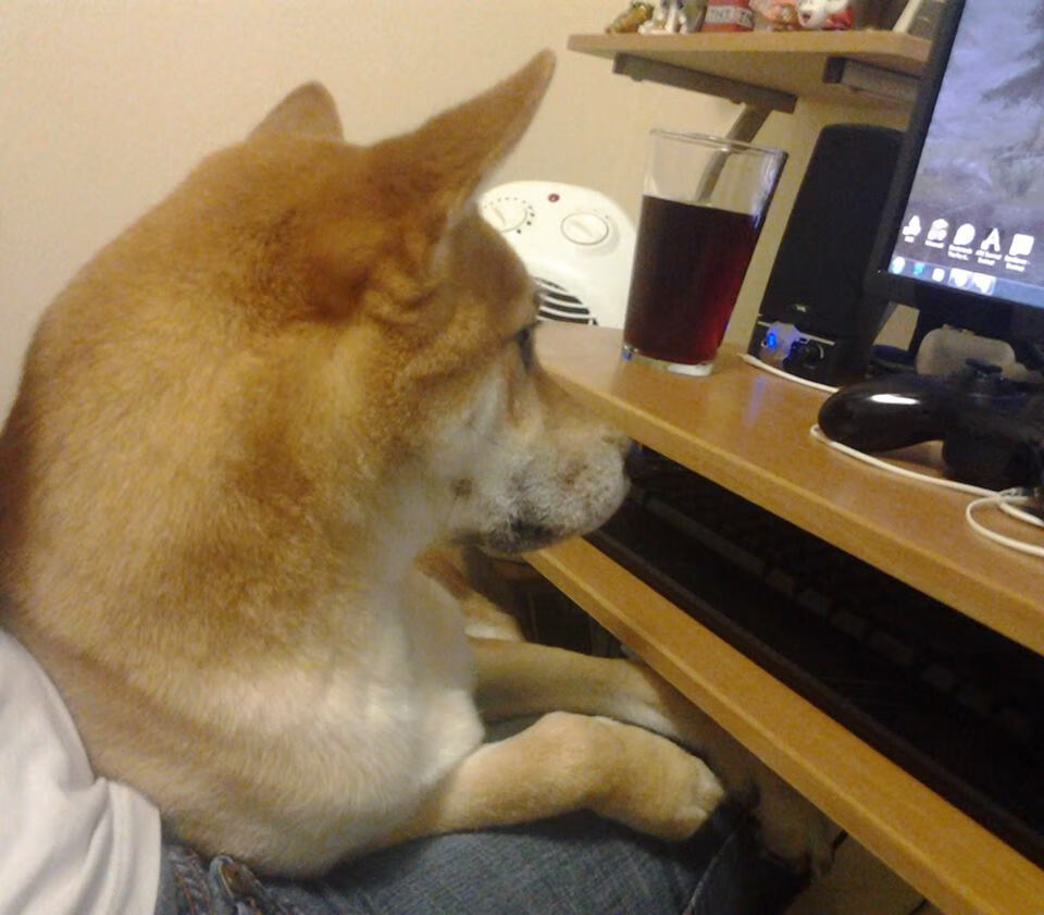 意甲焦点战，巴斯托尼闪耀全场，国际米兰力克尤文图斯