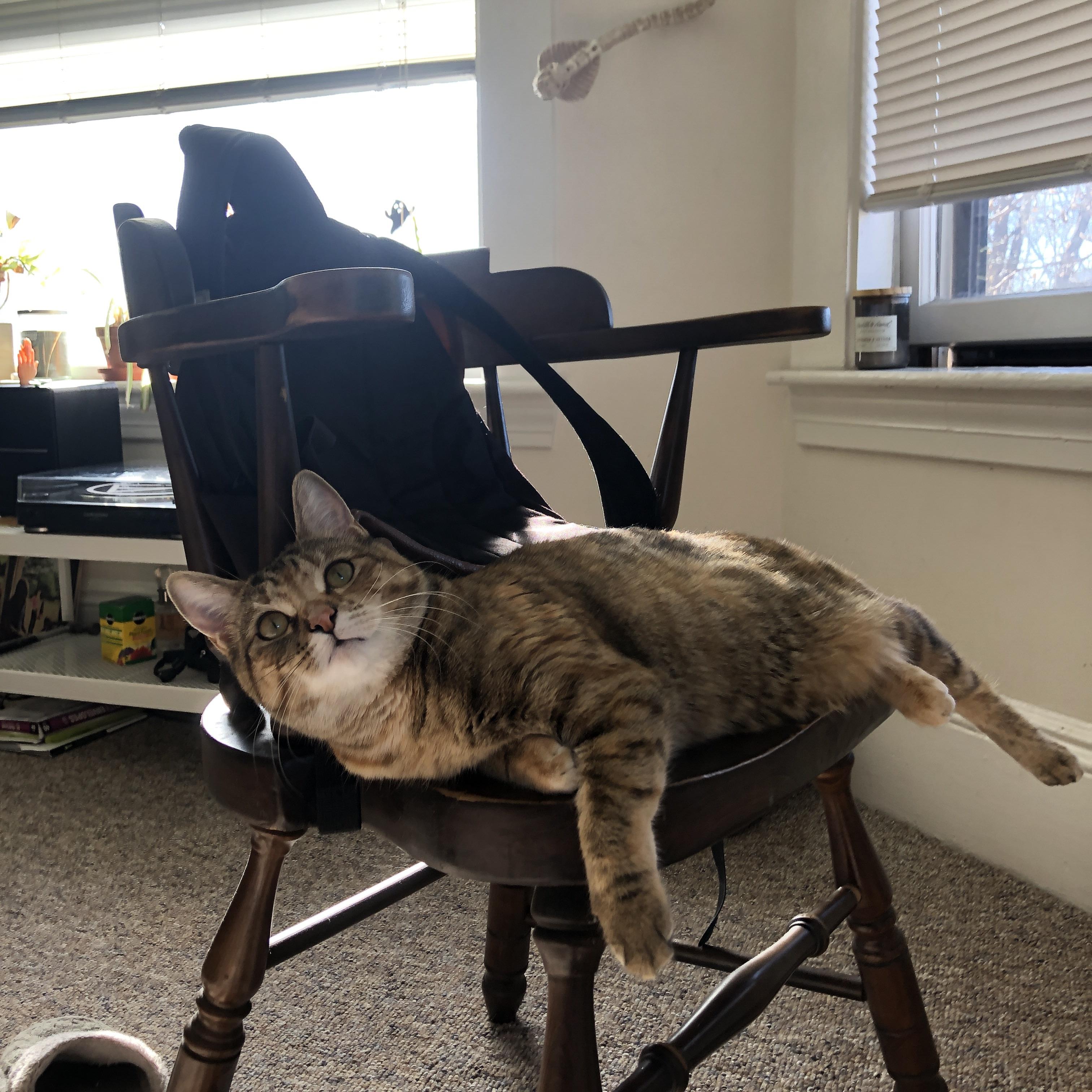 双星闪耀，格列兹曼的指挥艺术与秘鲁的战术博弈