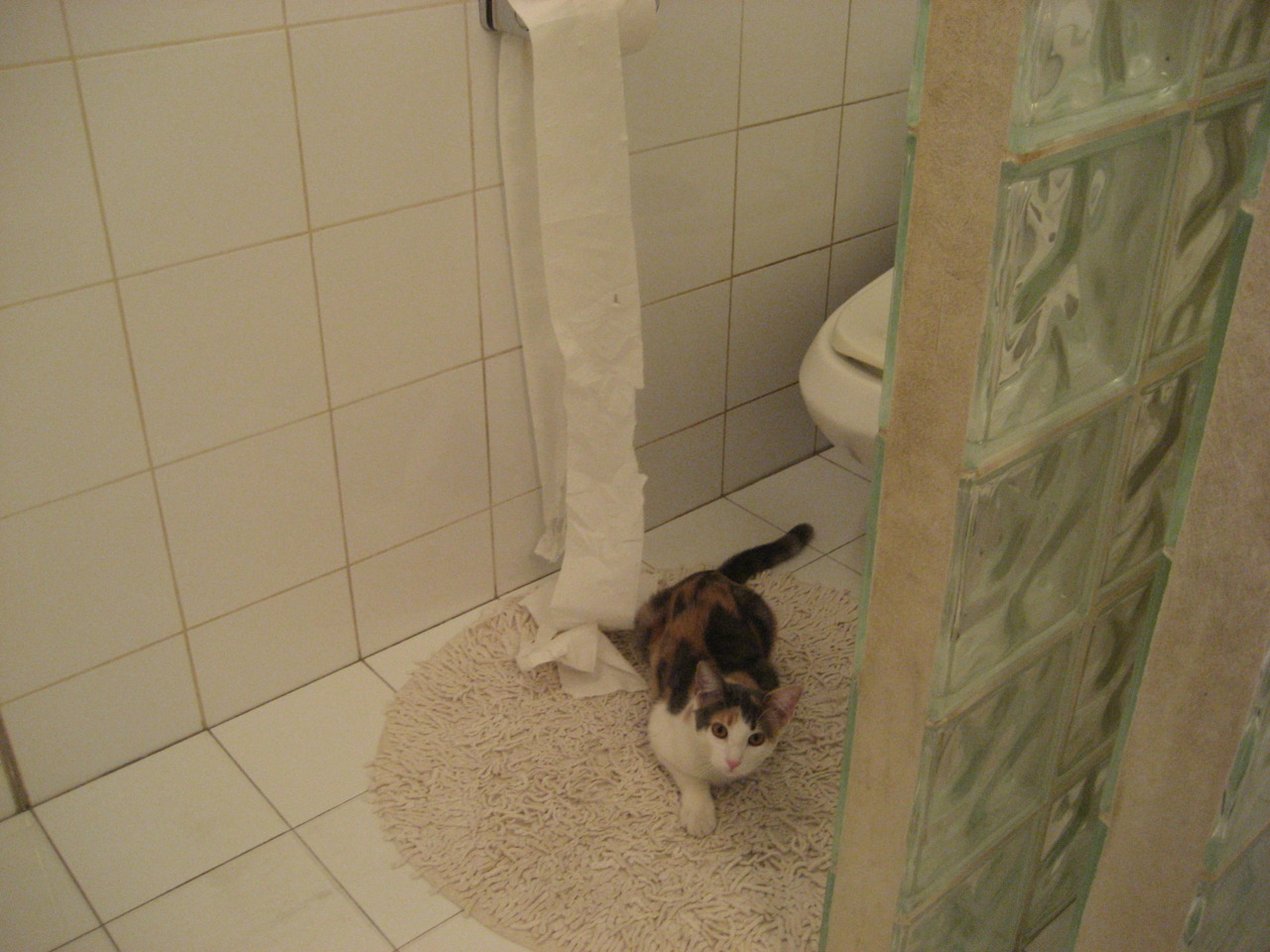 克瓦拉茨赫利亚魔笛奏绝唱，牙买加钢铁洪流强行终结喀麦隆残梦