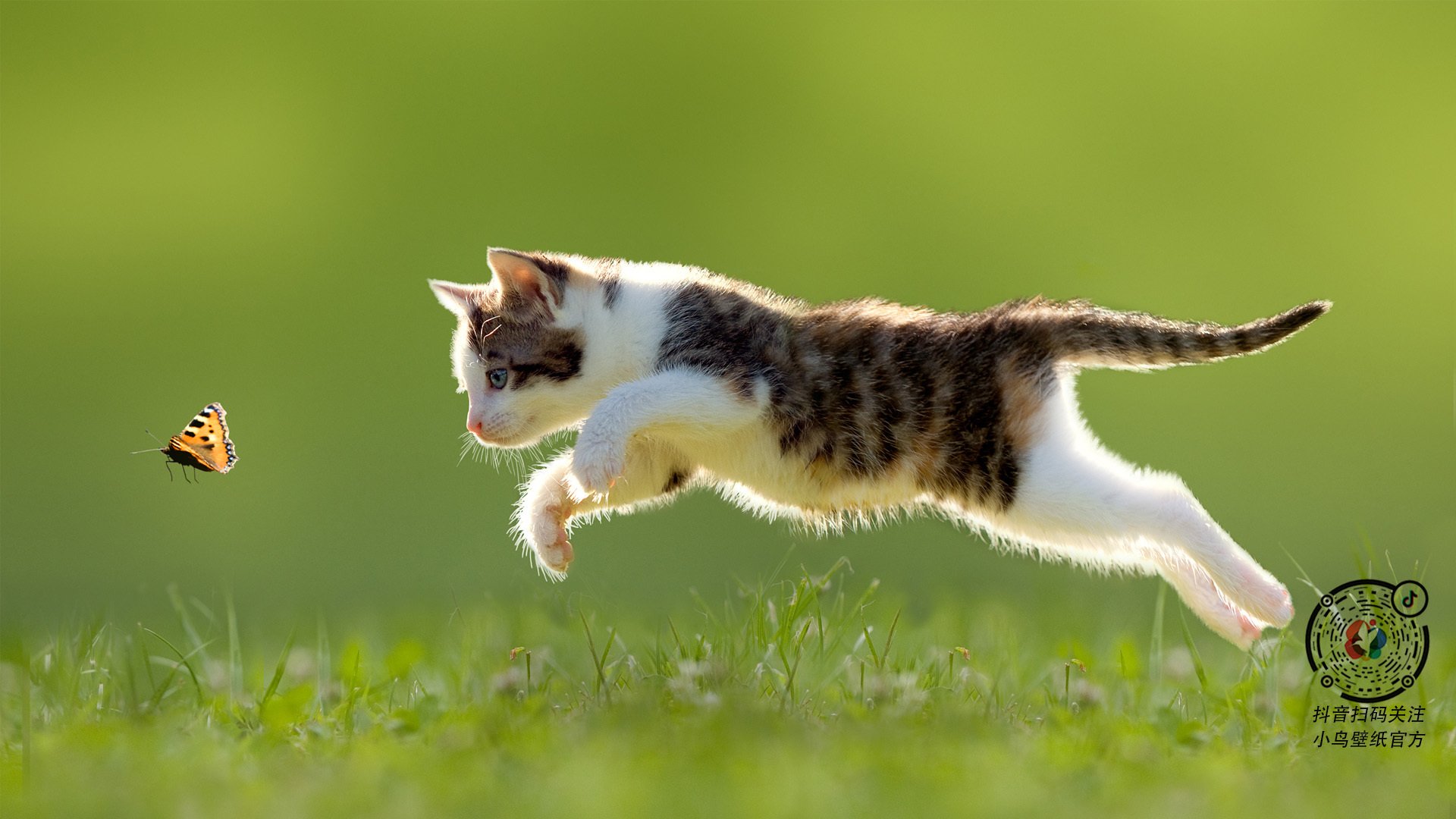 斑马利刃斩断奥地利心脏，拉亚神扑改写欧洲杯命运