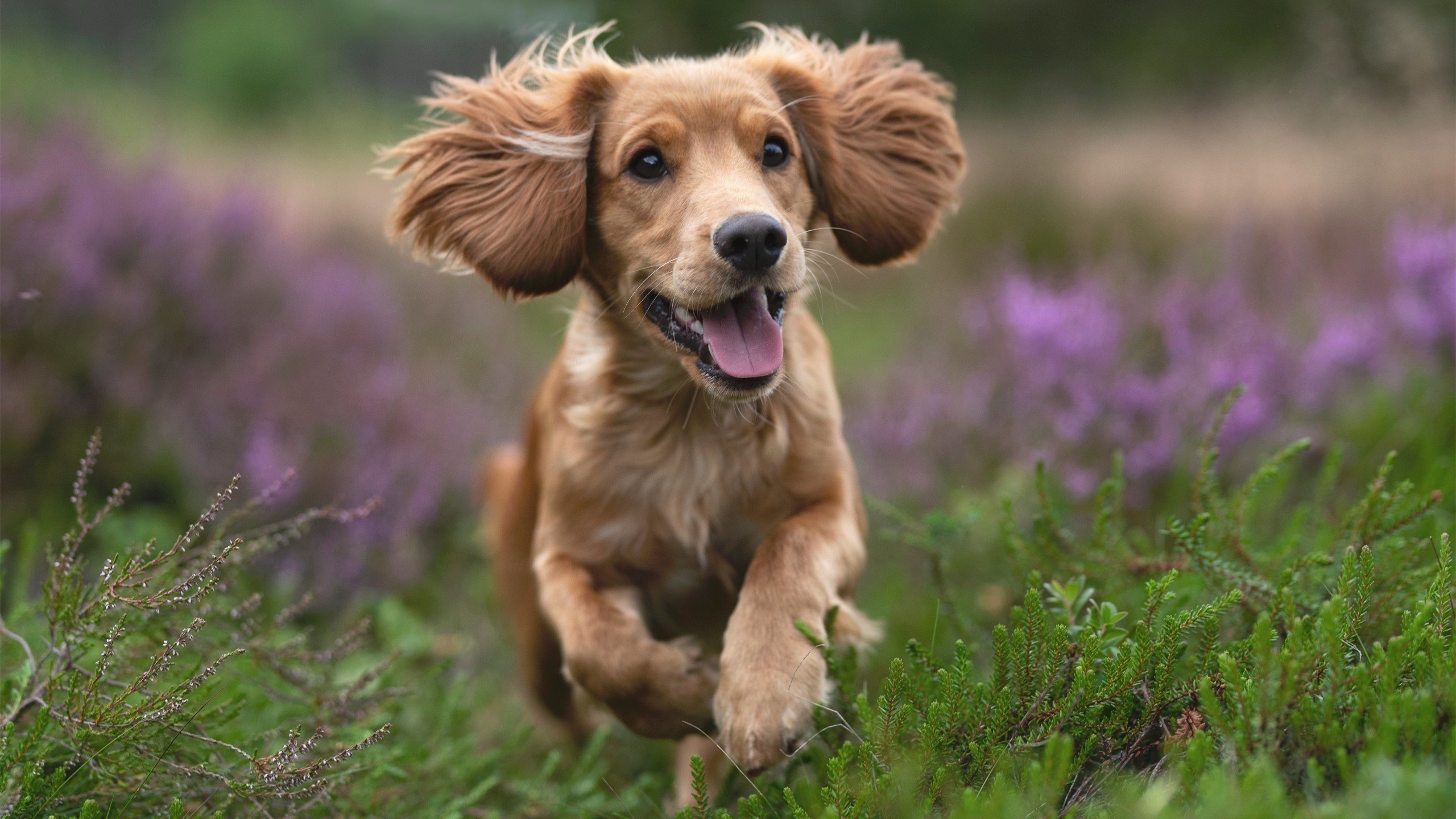 欧冠决赛史上的奇迹，乌拉圭国家队稳稳拿下莱比锡红牛