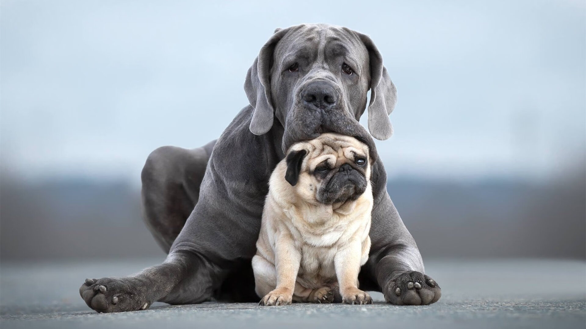 从哈弗茨的救赎到秘鲁的节奏，绿茵场上的个体与集体叙事