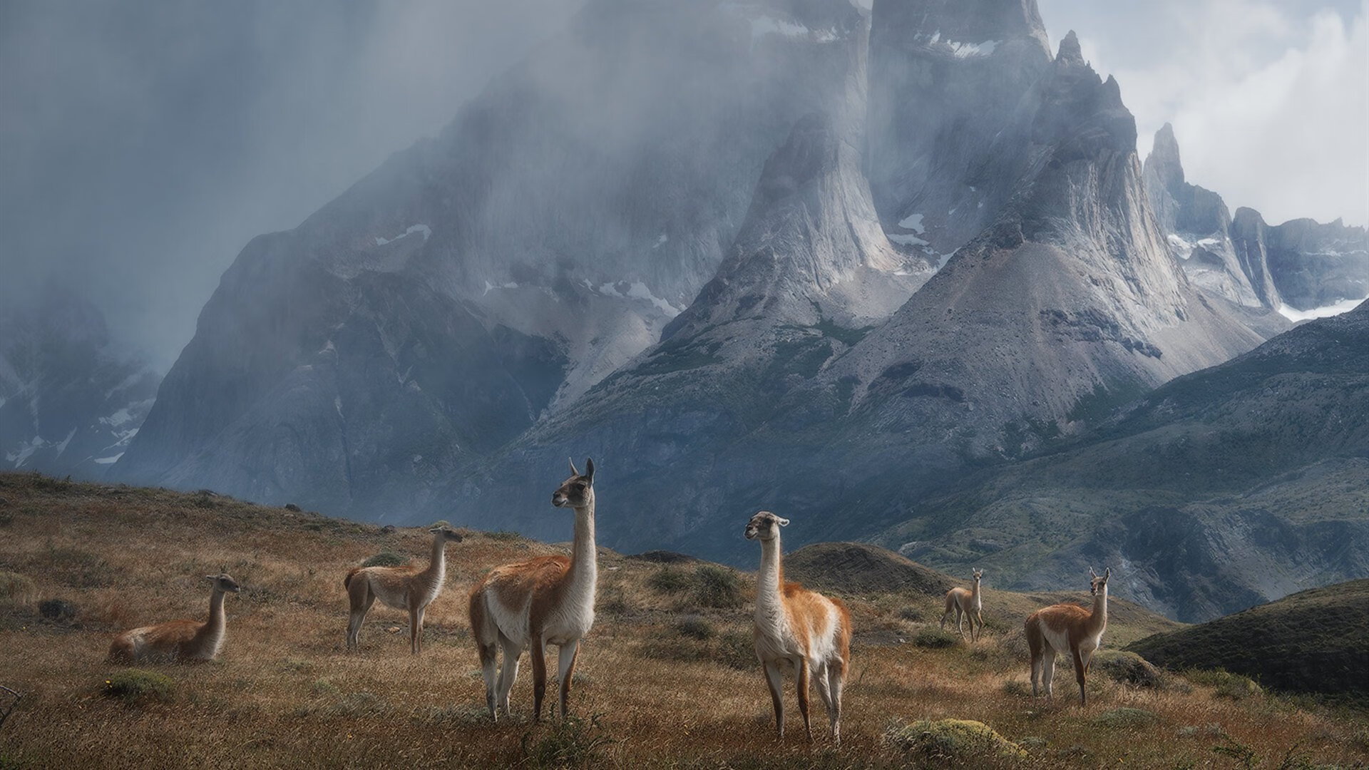 福克斯时刻,活塞硬仗击败凯尔特人,总决赛接管传奇