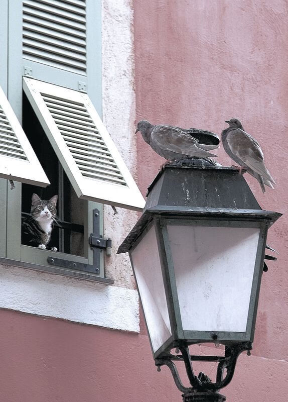 塞维利亚鏖战黄色潜水艇，阿尔瓦雷斯生死时刻一剑封喉