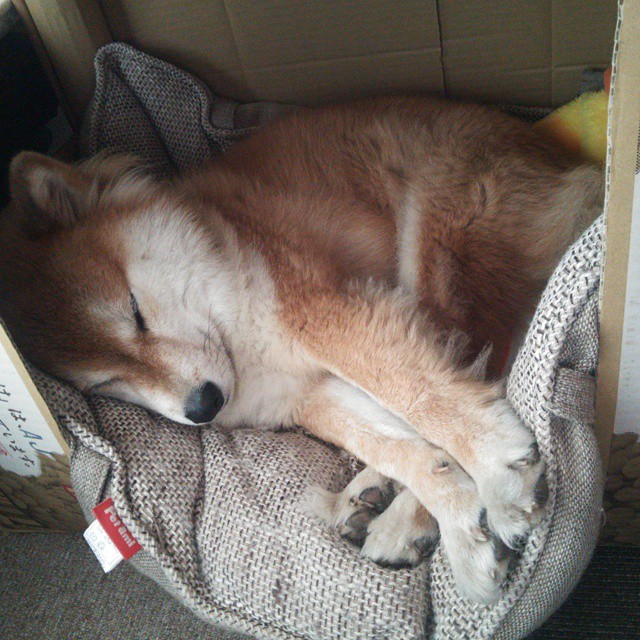 跨次元的对决,当莫兰特在勇士vs步行者之夜定义伟大