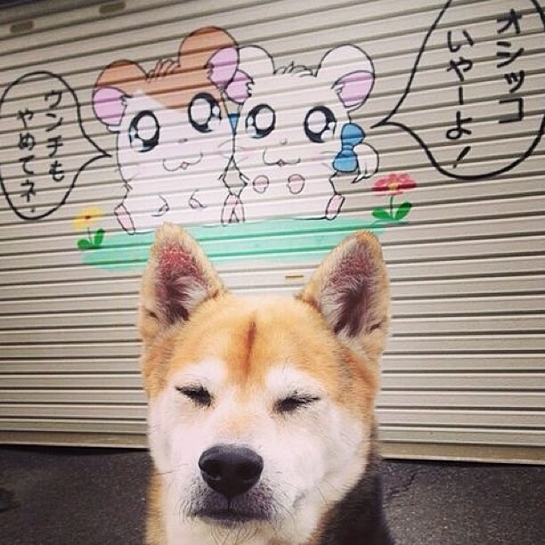 贝恩轰炸,雄鹿破城,一场定义东区格局的攻防美学