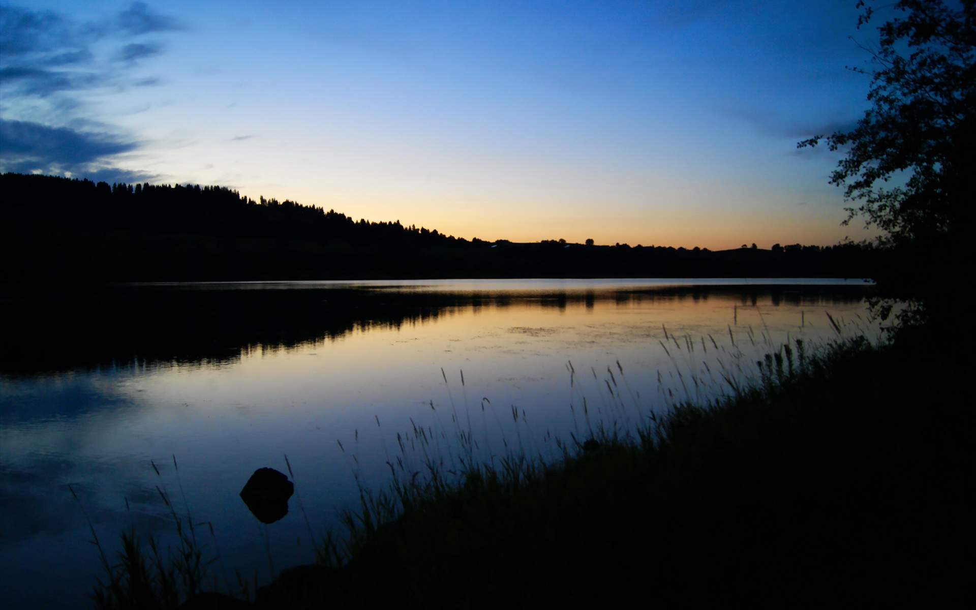 浓眉狂砍40+20却成空砍,上海队团队篮球横扫湖人爆冷门