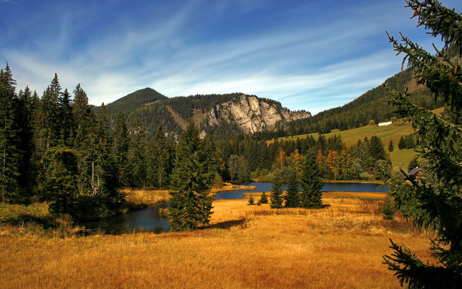擎天巨神的雷霆之怒，恩比德爆发背后的战术压制哲学