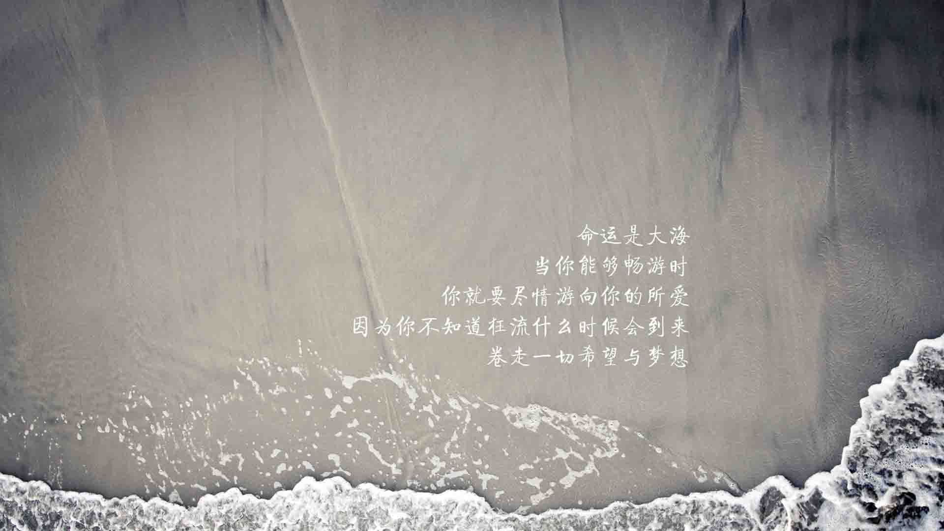 一瞬定乾坤,匈牙利闪电突袭内马尔绝杀,世界杯头名之争上演攻守美学