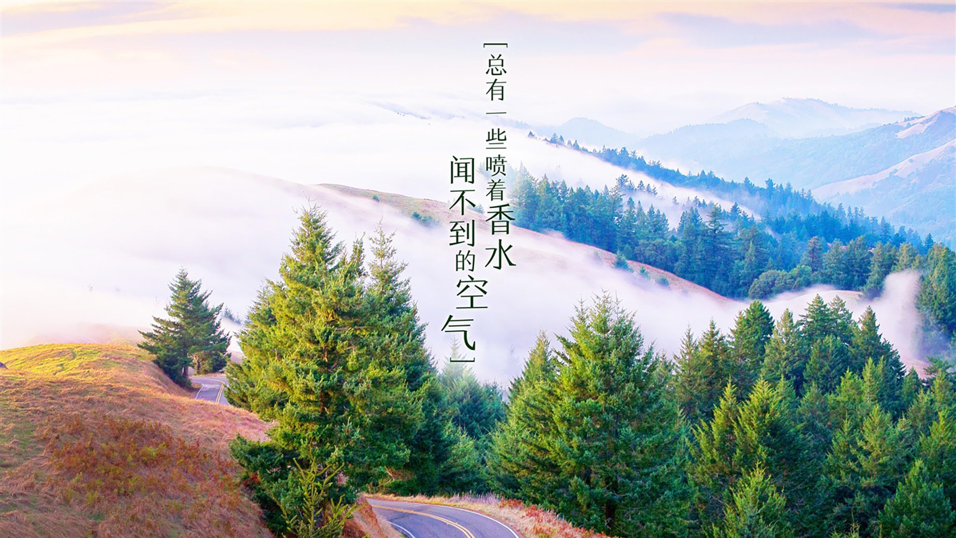 2026世界杯B组焦点战，厄瓜多尔高原风暴席卷波兰，吉鲁独造三球上演经典战役